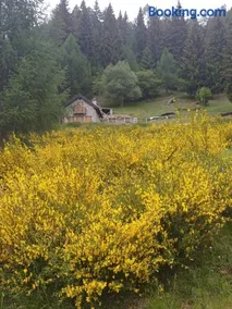 Rooms Alpe Veglia-Varzo - Image 3