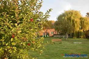 Ferienwohnung Zur ehemaligen Apfelplantage - Image 3