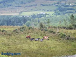 Drumkeeran Holiday Homes - Image 2