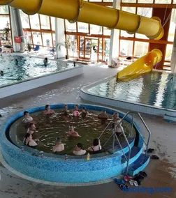 Lakókocsi termál fürdő kemping - Image 4
