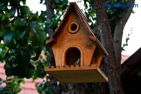 Casa din Livadă - Jabenița - Image 2