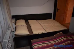 Apartment Borovnica - Image 2