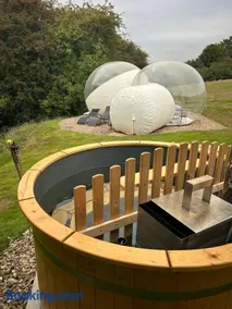 Wooded Bubble - Image 4