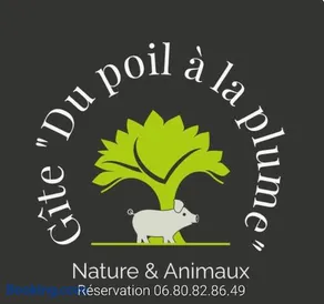 Le paon de bois avec bain nordique - Image 2