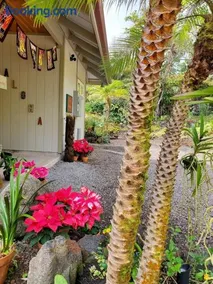 The Alala at Stained Glass Cottages - Image 3