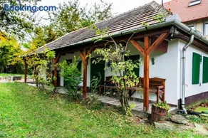 Bagoly lak - Image 1
