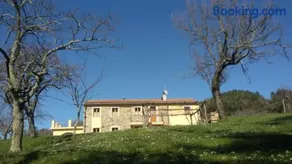 Il Girasole - Image 4