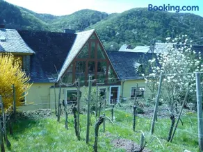 Pension am Weinberg - Image 4
