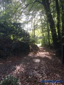Bos Huisje - Image 3
