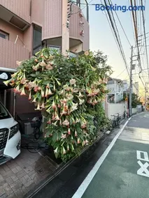 新宿の家-畳み3部屋 Maison à Shinjuku - pedalmi chambre 3 personnes - Image 2