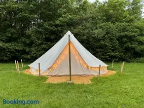 Elm Bell Tent - Image 3