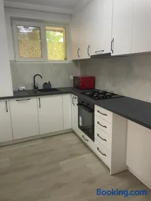 Cozy Bucovina Apartment - Image 3