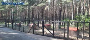 Waldcamp Hundeparadies - Image 3