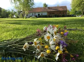 Cseri Porta - Image 4