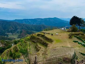 Pahadi Pause - Image 5