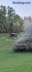 Chata na samotě, Šumava - Image 3
