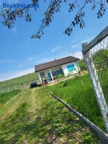 Casa de vacanta Turcoaz - Image 1