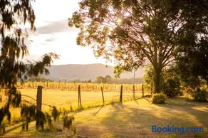 Among the Vines - Image 3