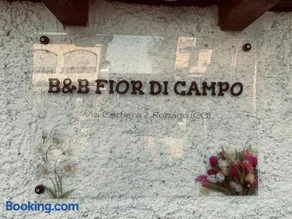 B&B FIOR DI CAMPO - Image 2