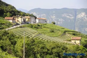 Agriturismo Eredi di Cobelli Aldo - Image 3