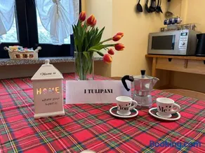 i tulipani - Image 1
