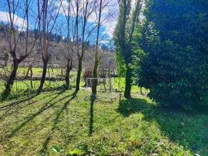Agroturismo Quinta De Travancela - Image 2