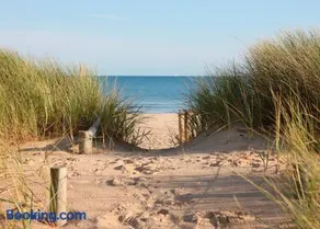 Shamrock Oostduinkerke - Image 1