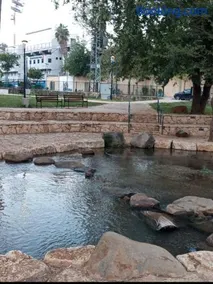 דירה ירוקה על הנחל - Image 2