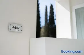 Capital - Image 4