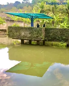Chácara Cristal - Image 3