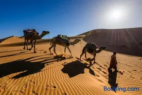 camel riding - Image 2