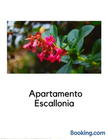 Alojamientos La Ermita - Image 2