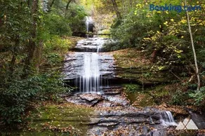 Cabin in the Woods | Trails, Fire Pit, BBQ - Image 4
