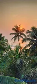 Kumbaya Beachside Hostel & Rooftop Cafe - Image 1
