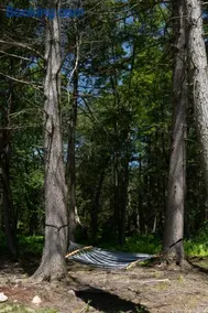 Luxe Modern Cabin with Pond, Fire Pit, Hiking, near Bethel Woods - Image 4