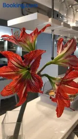 Hotel Colors - Image 2