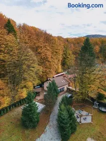 Teodor Chalet - Valea Avrigului - Image 4
