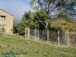 PALLERO BAIXO - Image 3