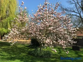 Ferienglück Lindwedel - Image 2