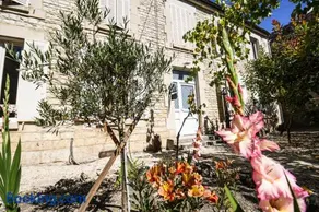 Les crins du vignoble - Image 1