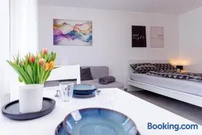 Living Lu cosy Apartment Netflix Mannheim BASF - Image 1