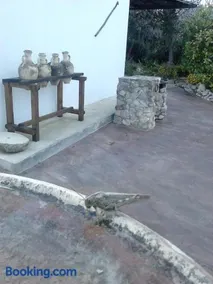 Casa Rural El Cubillo - Image 2