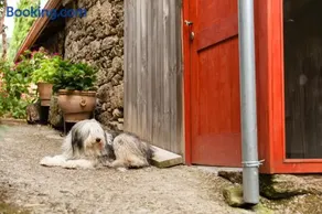 Casa do Lecer - Image 2