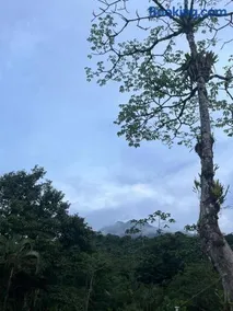Glamping Finca garza del sol - Image 2