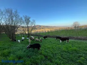 Agriturismo Luna di Miele - Image 1