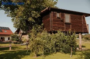 Stork Nest Treehouse - Ranč Jureš Štrkovo gnezdo - Image 1