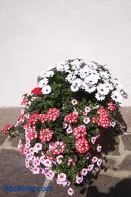 Ausfernerhof - Image 4