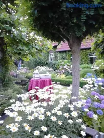 Ferienhaus Zaunkönig - Image 2