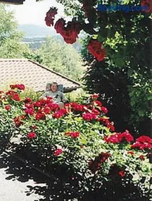Haus Bergblick Bay. Wald - Image 1