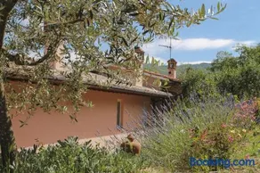 Tuscany Roses - Image 2